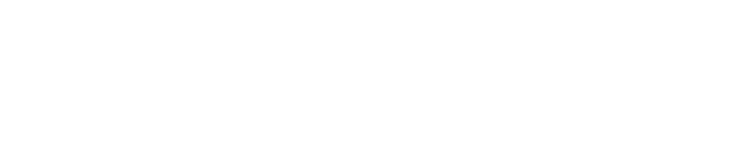 VD Electrical Systems Logo